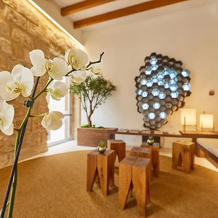 Hotel Santa Clara Urban Hotel&spa